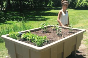garden planting