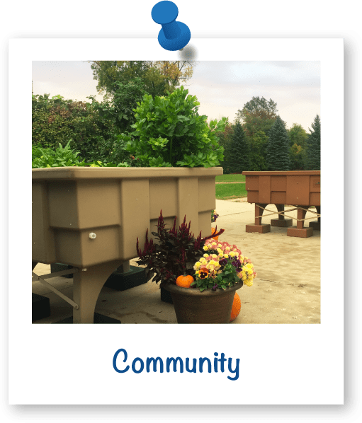 EcoGarden_Community
