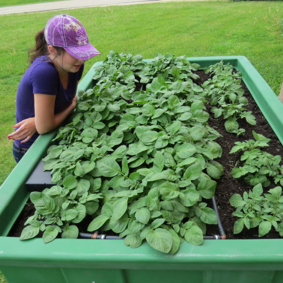 garden sustainability