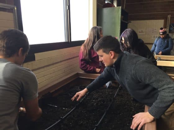 raised bed garden in school