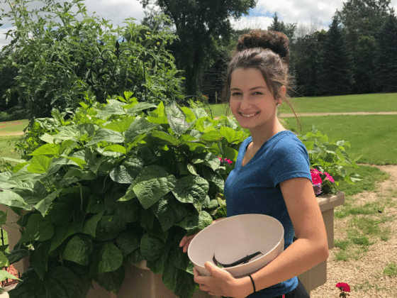 Eco Garden Maximizes Vegetable Garden Space